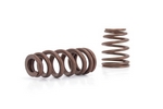 Valve Springs, 1.445" Beehive